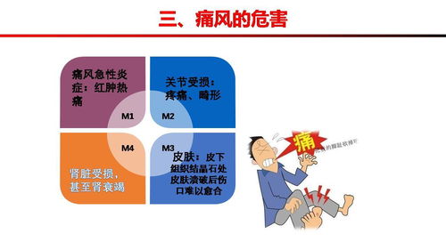 高尿酸血癥的健康管理方案 痛風(fēng)預(yù)防的黃金法則